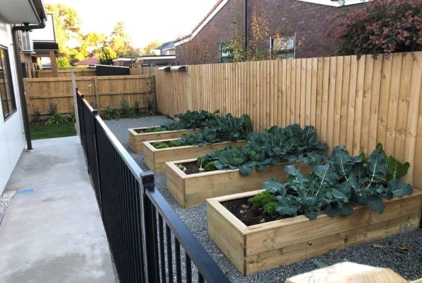 Alexandra Street Christchurch